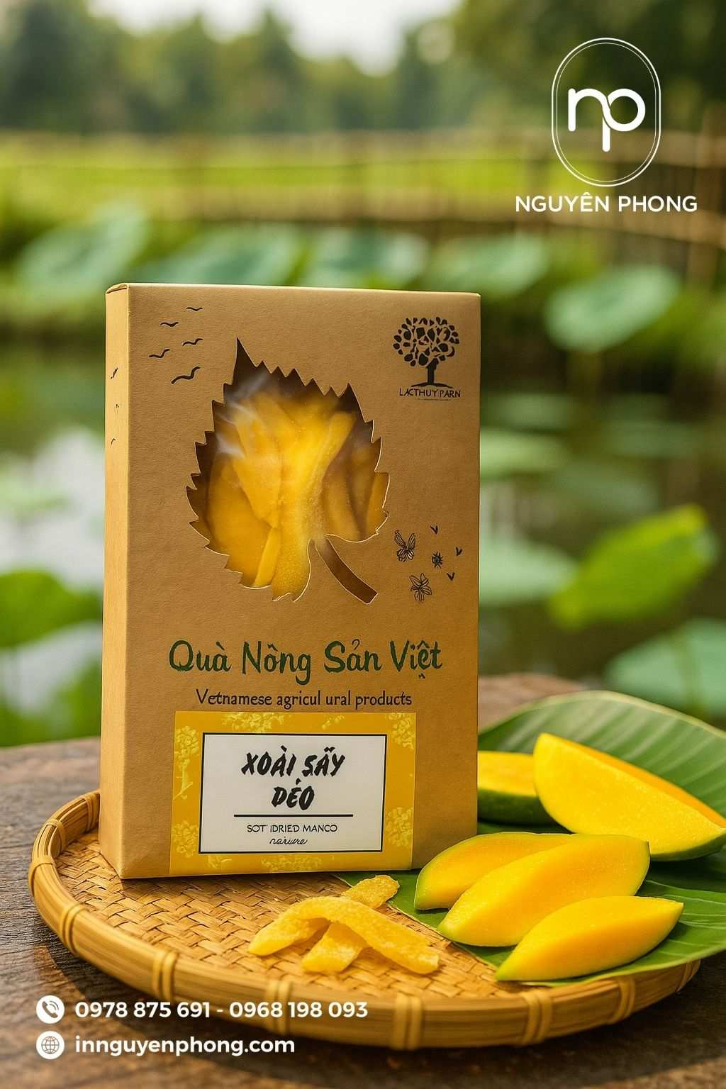 Mẫu hộp giấy đựng mứt xoài cán màng mica